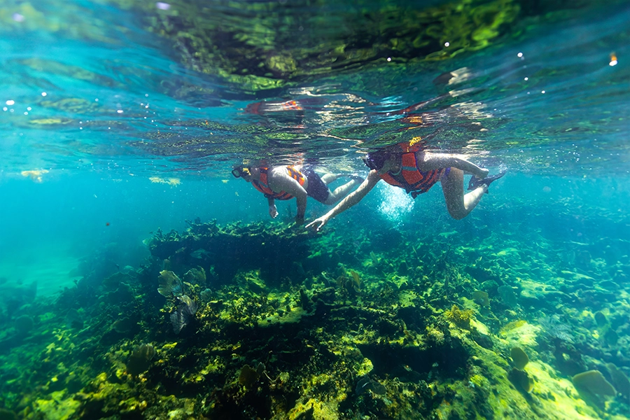 Snorkeling Adventure Image 3