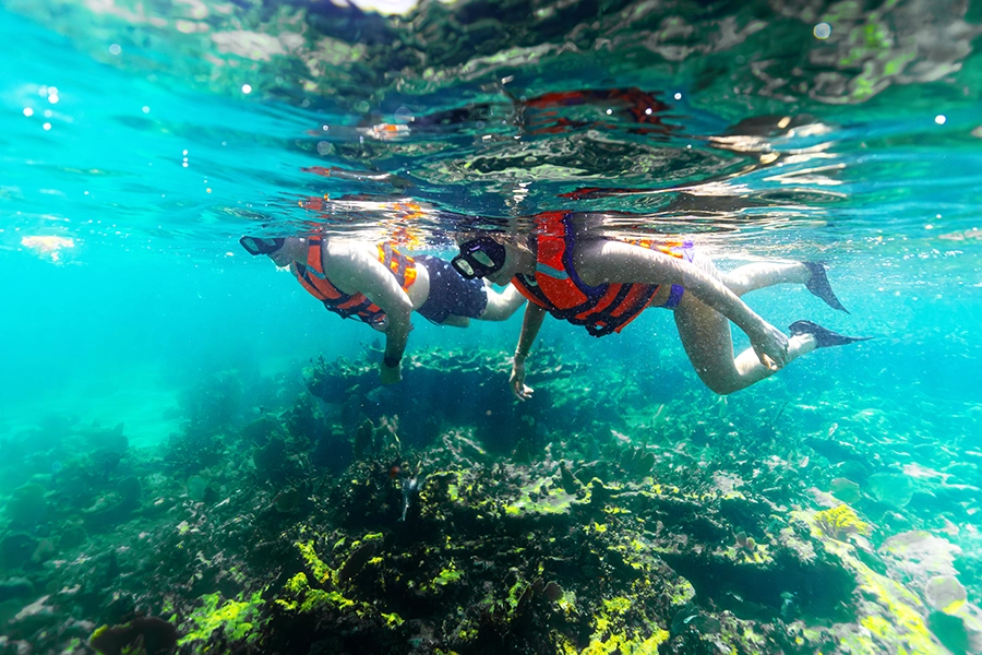 Snorkeling Adventure Image 7