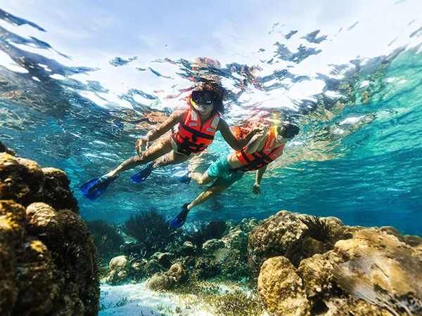 Aventura de snorkel compartida