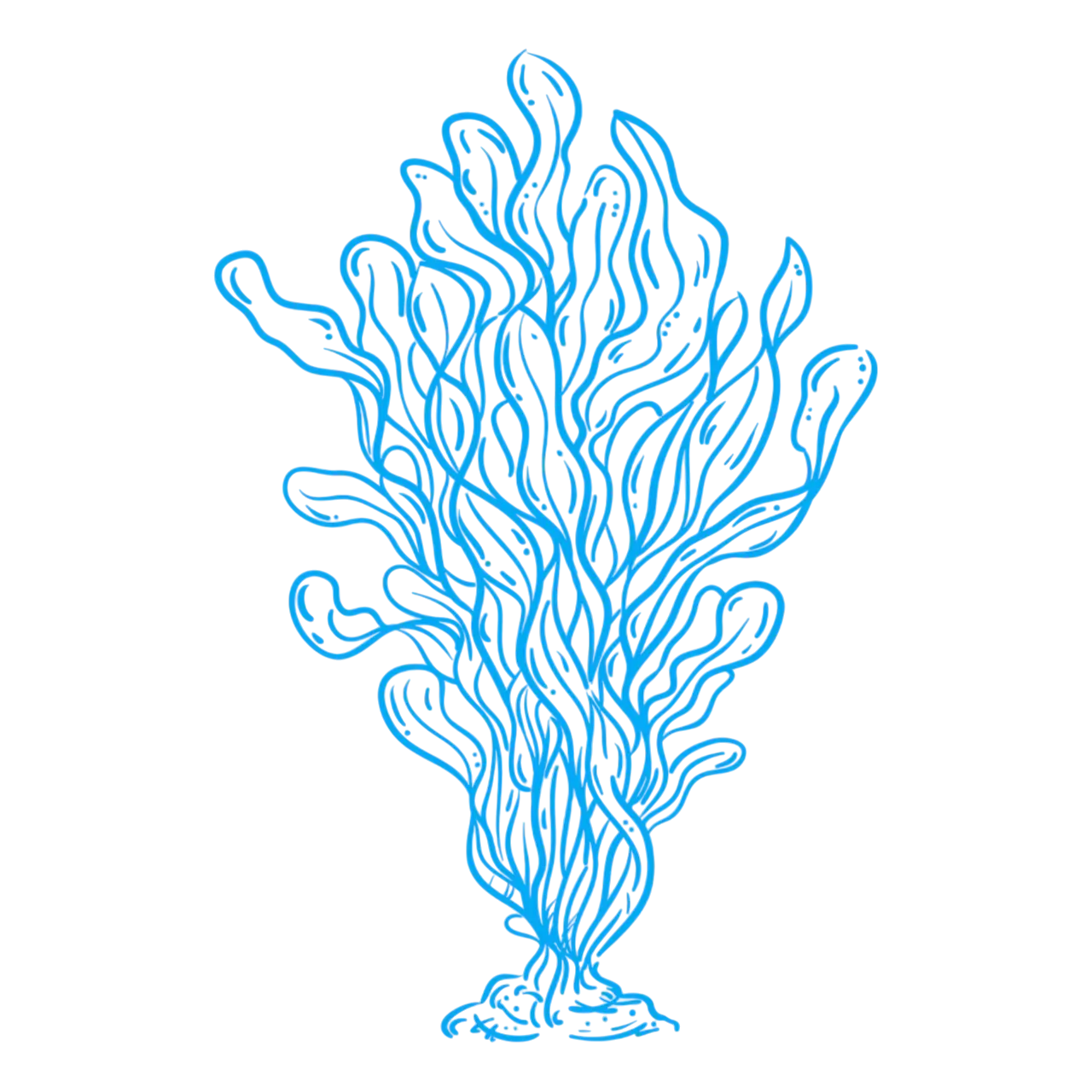 Decoración de algas marinas azules