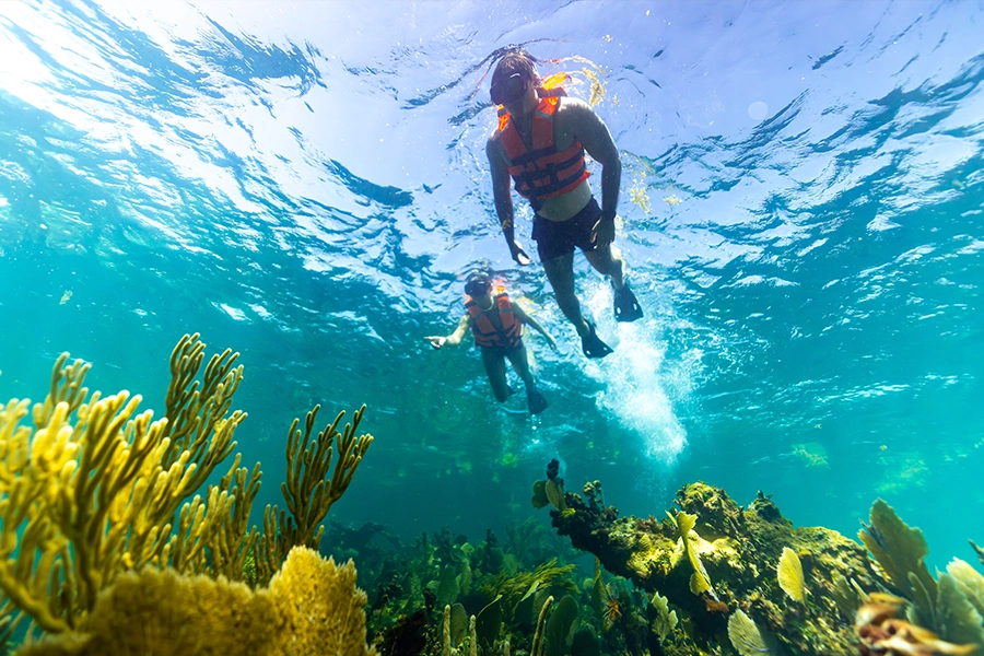 Snorkeling Adventure Image 8