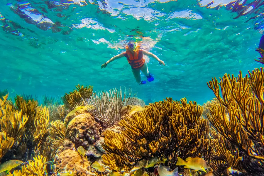 Snorkeling Adventure Image 9