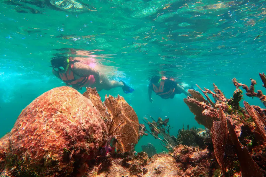 Snorkeling Adventure Image 9